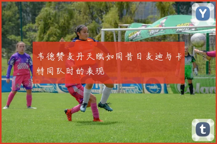 韦德赞麦丹天赋如同昔日麦迪与卡特同队时的表现