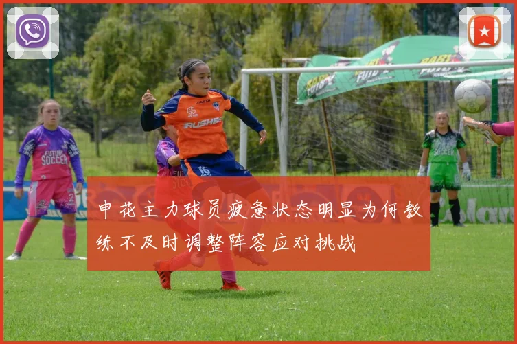 申花主力球员疲惫状态明显为何教练不及时调整阵容应对挑战